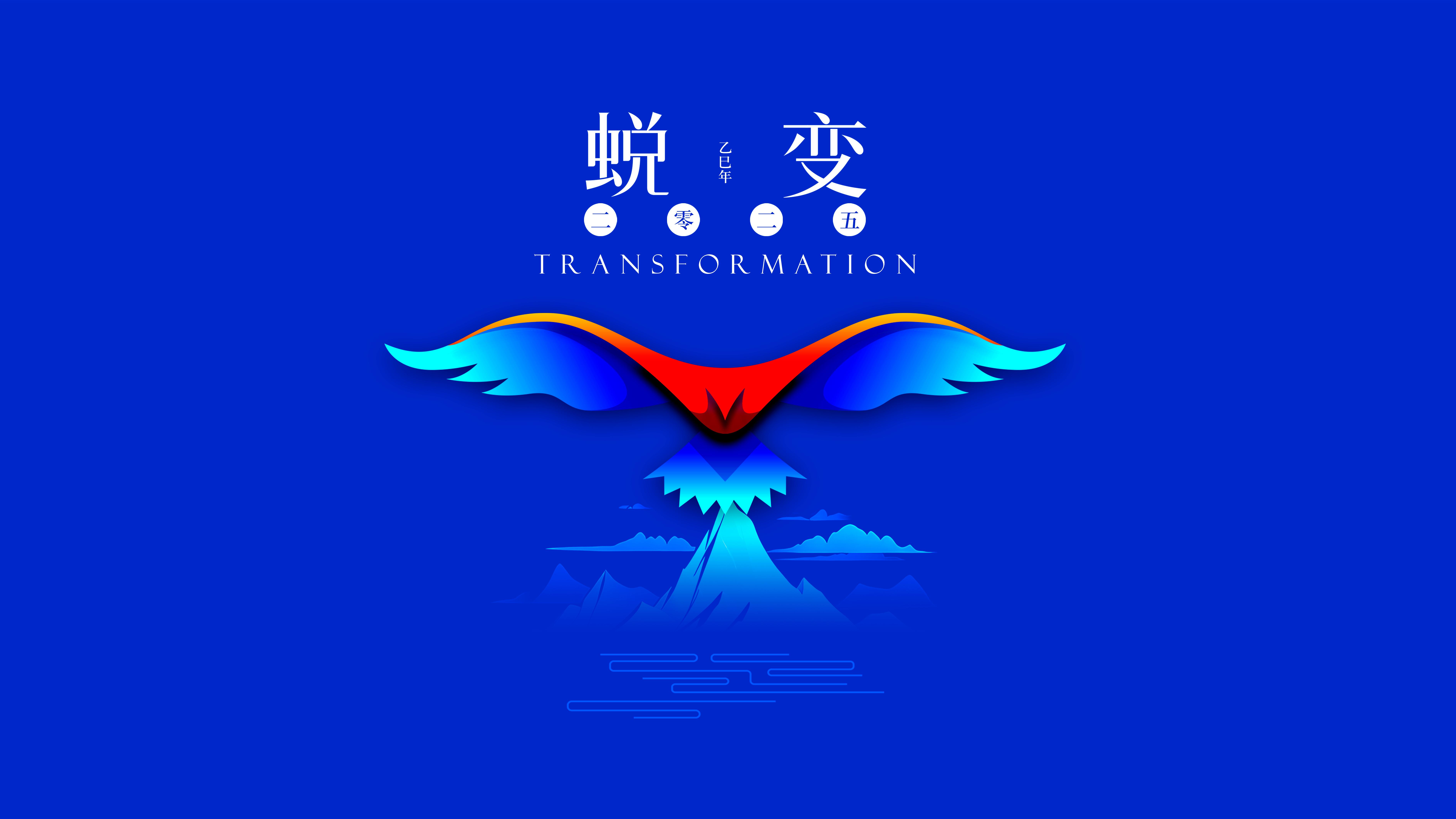 我與海星的2024，期待2025年與您一起續(xù)寫(xiě)美好篇章